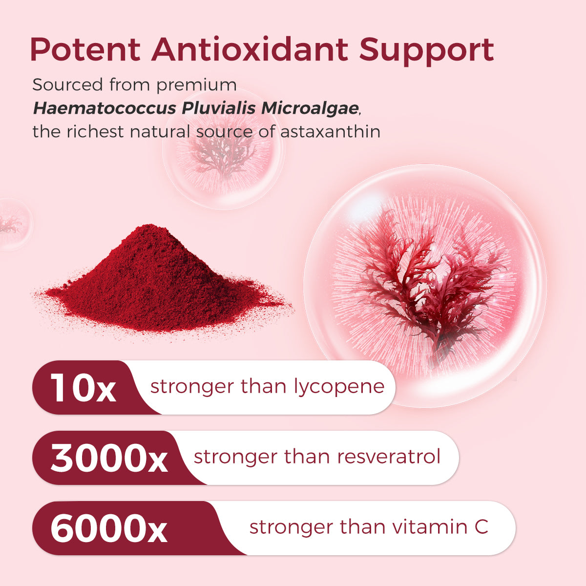 Promotional graphic highlighting potent antioxidant support from Haematococcus Pluvialis Microalgae with text and images of red powder and algae.