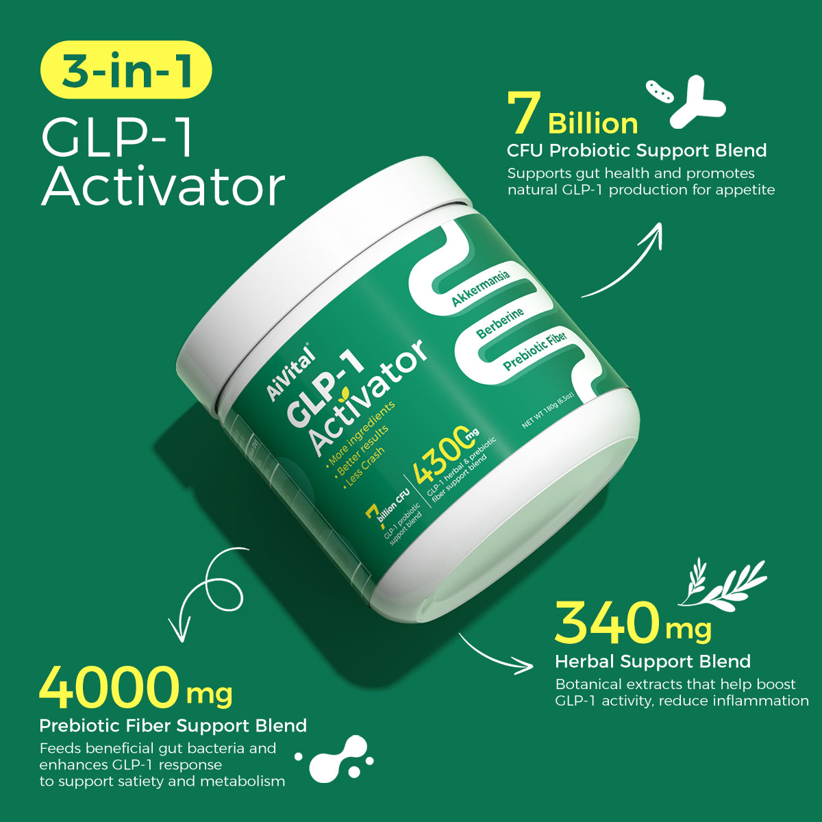 GLP-1 Supplement